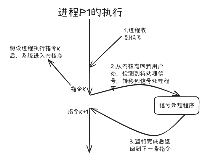 进程执行信号处理